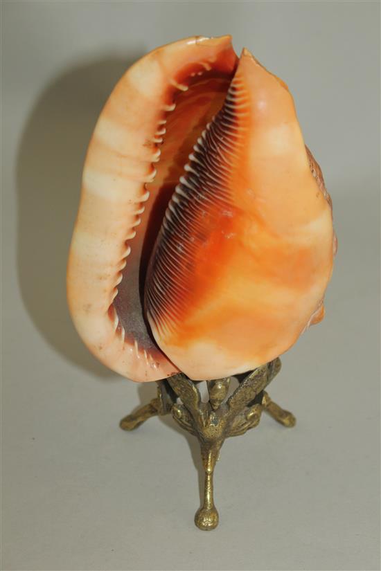 An Italian conch shell cameo table lamp, 7.75in.